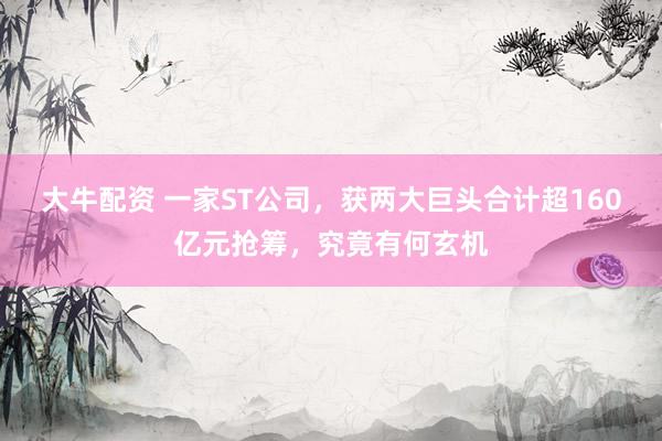 大牛配资 一家ST公司，获两大巨头合计超160亿元抢筹，究竟有何玄机