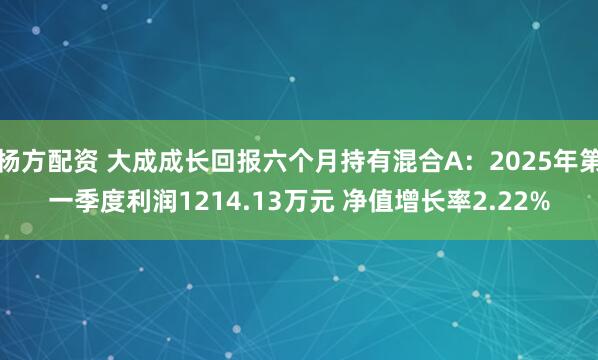 杨方配资 大成成长回报六个月持有混合A：2025年第一季度利润1214.13万元 净值增长率2.22%