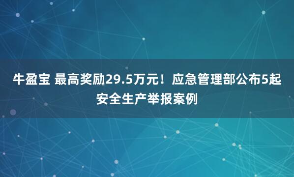 牛盈宝 最高奖励29.5万元！应急管理部公布5起安全生产举报案例